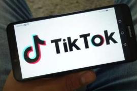 tiktok自动养号技巧和软件工具分享