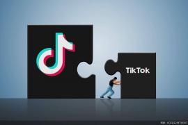 tiktok创作者基金怎么申请？Tiktok创作者基金申请流程