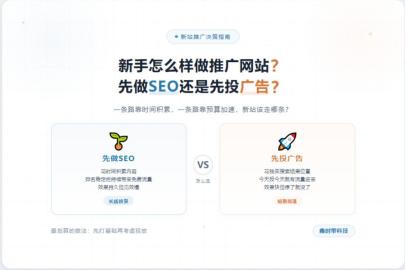 新手怎么推广网站？先做SEO还是先投广告？